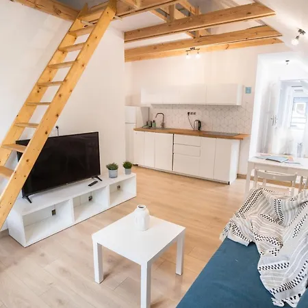 Pod Cyprysami - Surf & Family