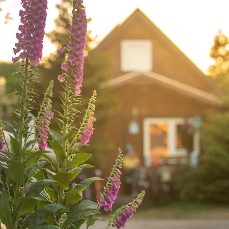 Pod Cyprysami - Surf & Family Jastarnia