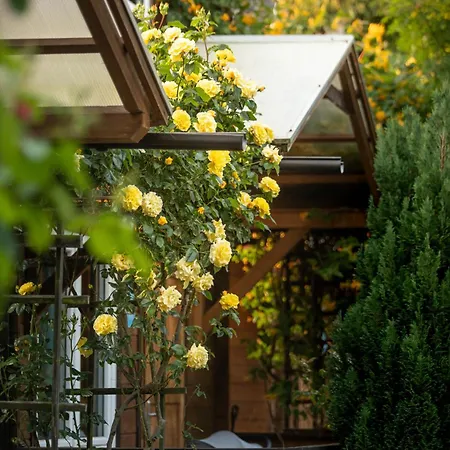 Pod Cyprysami - Surf & Family Lodge