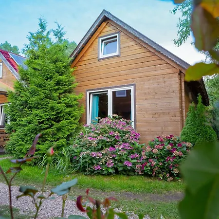 Pod Cyprysami - Surf & Family *