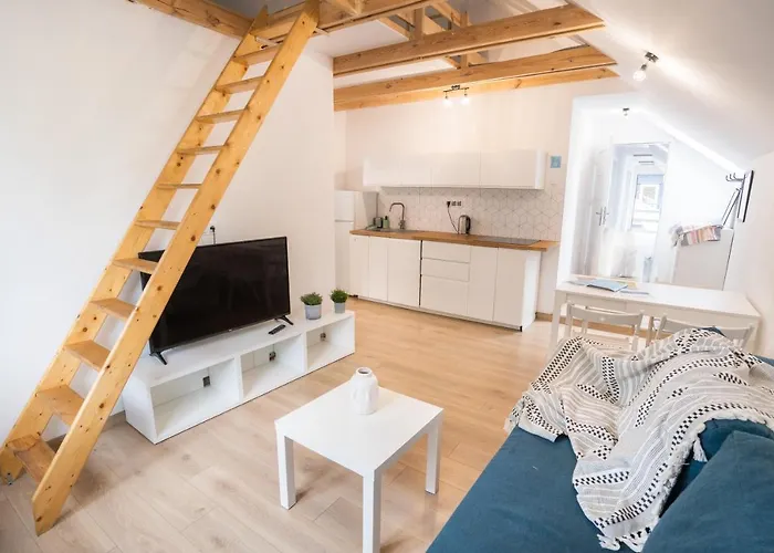 Pod Cyprysami - Surf & Family