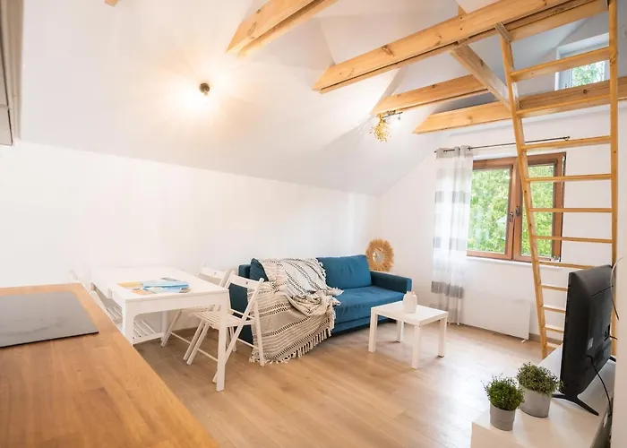 Pod Cyprysami - Surf & Family * Jastarnia