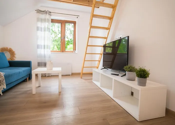 Pod Cyprysami - Surf & Family * Jastarnia