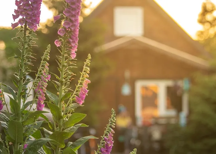 Pod Cyprysami - Surf & Family Jastarnia