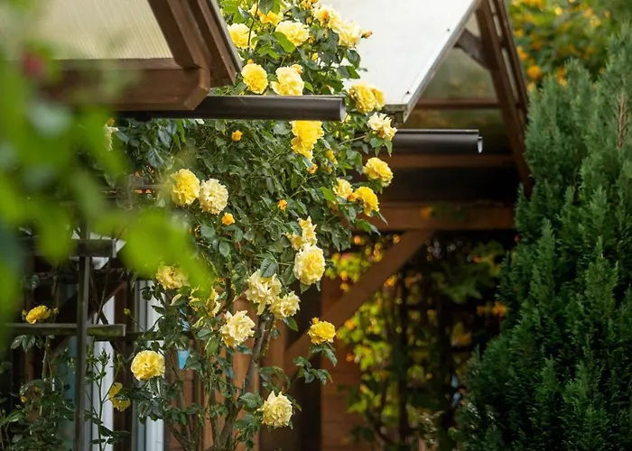 Pod Cyprysami - Surf & Family Alojamento de Turismo Selvagem