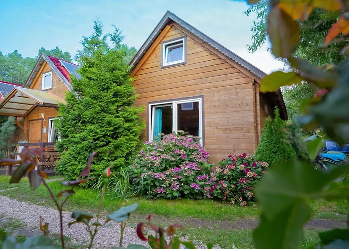 Pod Cyprysami - Surf & Family *